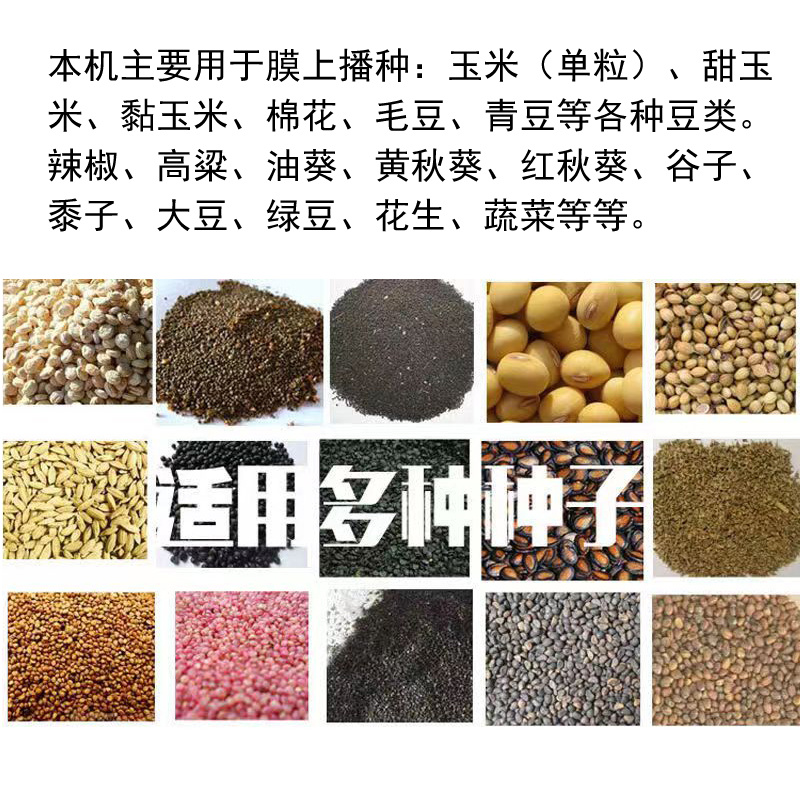 花生大豆棉花玉米播种机辣椒谷物播种机油葵娃娃菜播种机2行