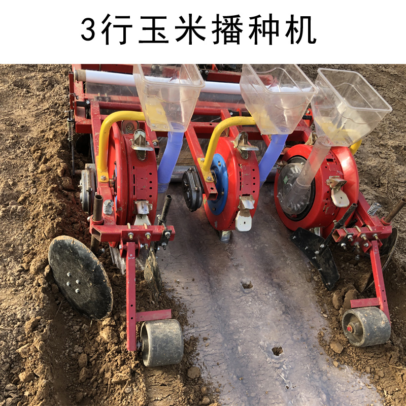 花生大豆棉花玉米播种机辣椒谷物播种机油葵娃娃菜播种机2行