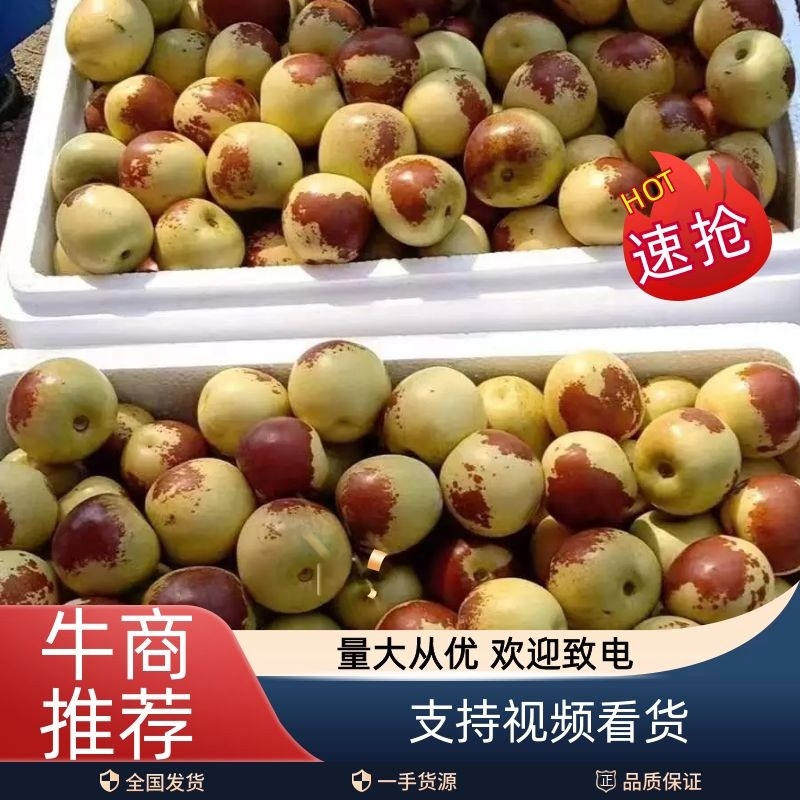 天津冬枣代收，实力代收！产地很大，口感很棒，颜色黄底的