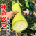 【聚便宜】砍瓜种子特大巨型春秋种植随吃随砍抗病强