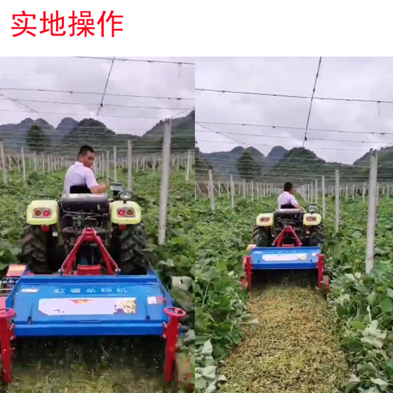 杀秧机单轴杀秧机双轴杀秧机红薯去秧机红薯粉碎机杀秧机
