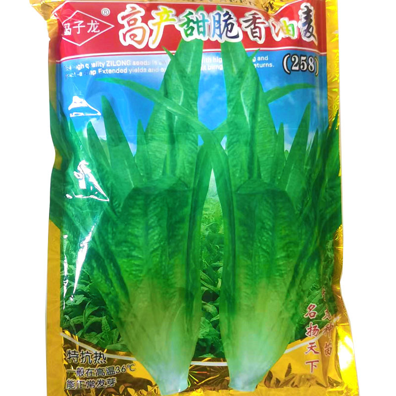 脆香油麦菜种子高抗热早熟生长速度快高产抗病强低级种植