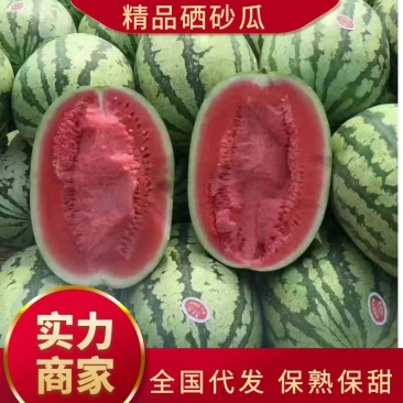 《店长推荐》宁夏硒砂瓜诚信合作,物美价廉,代发全国!