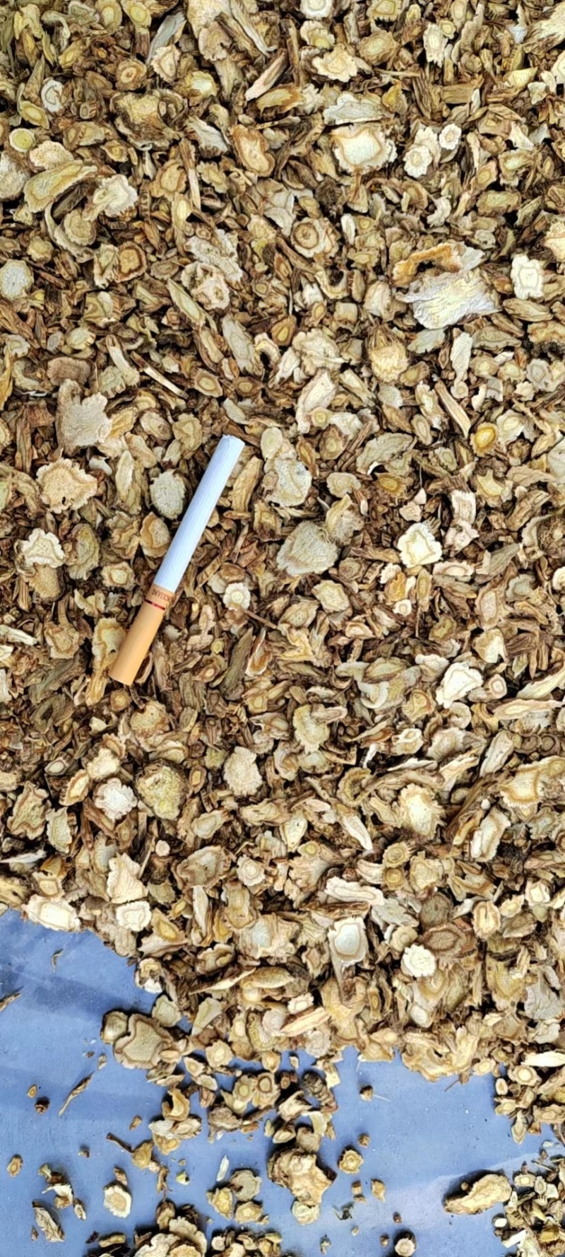 前胡浙江全检野生前胡大批量供应