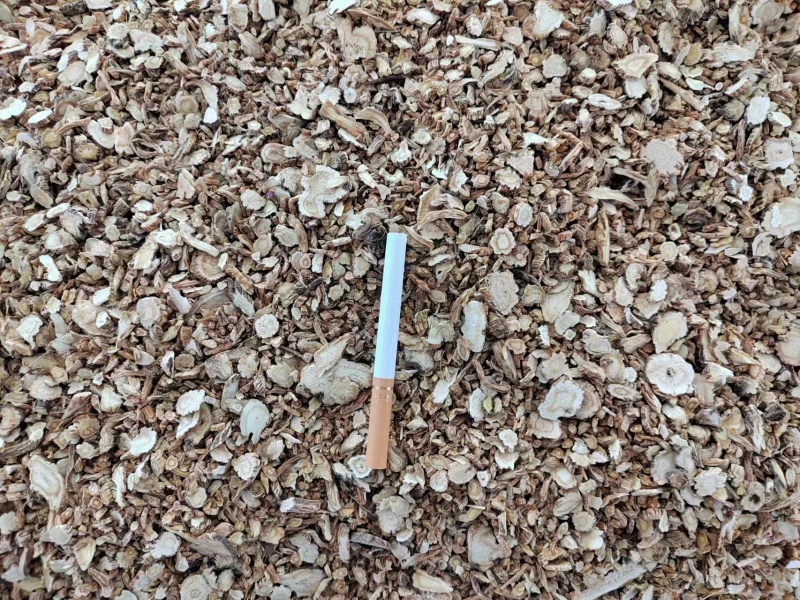 前胡浙江全检野生前胡大批量供应