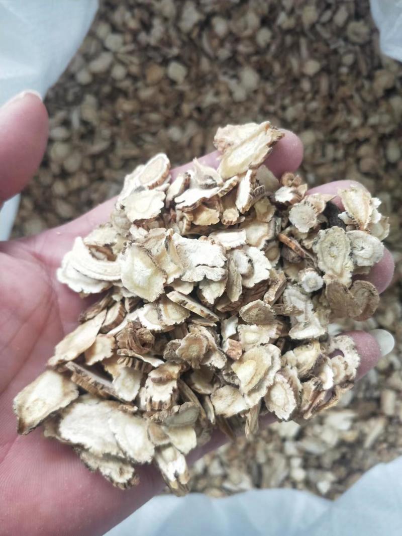 前胡浙江全检野生前胡大批量供应