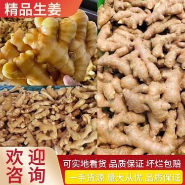 【产地直销】山东优质小黄姜一手货源长期供应市场电商