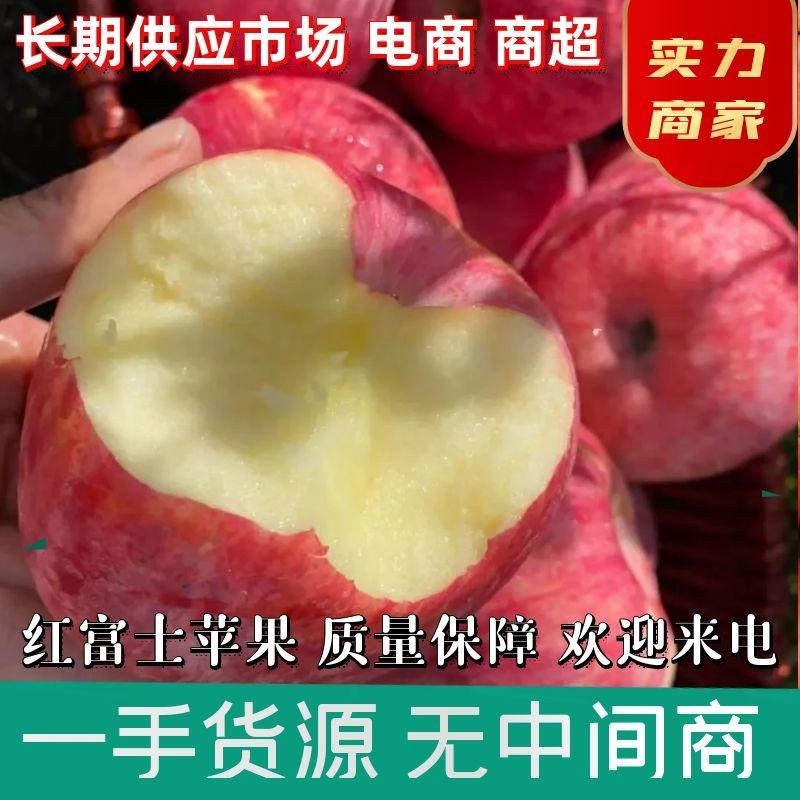 【坏烂包赔】精品红富士苹果皮薄多汁产地直供全国发货