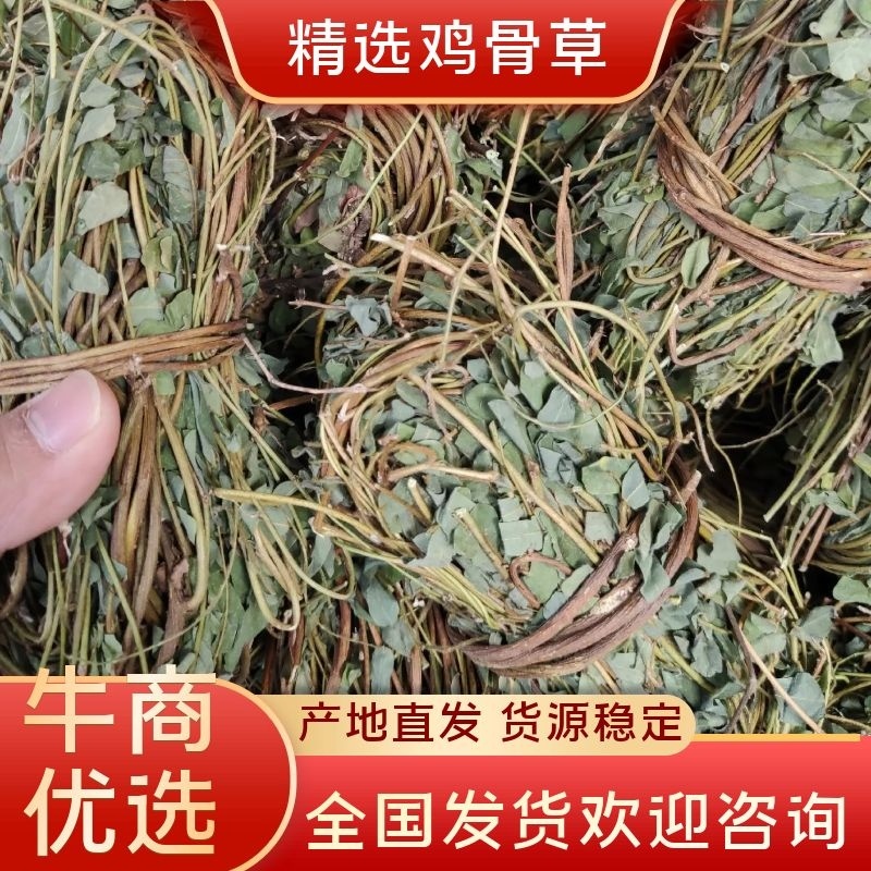 【推荐】鸡骨草野生新货带叶青绿青绿干货直发欢迎下单