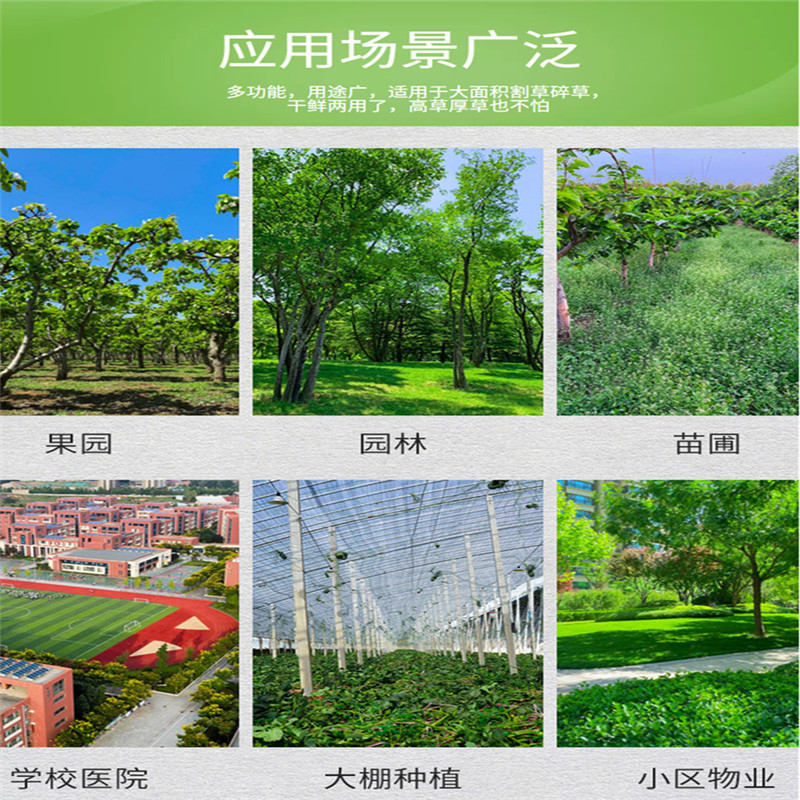 家用果园田地碎草机碎草还田机手推式小型柴油灭茬机