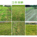 家用果园田地碎草机碎草还田机手推式小型柴油灭茬机