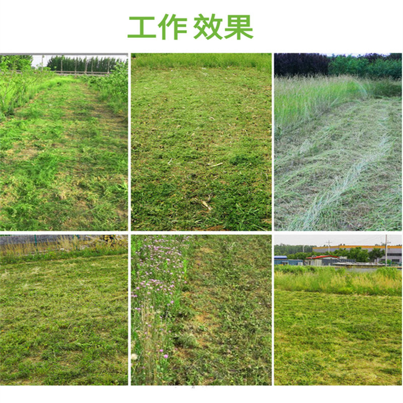 家用果园田地碎草机碎草还田机手推式小型柴油灭茬机