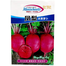 水果凤梨萝卜种子紫红心红皮杂交种夏秋季栽培抗病强