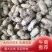 品质大白沙花生货量大一手货源产地直供可持续供货