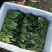 菠菜大叶菠菜内蒙古精品菠菜大量上市欢迎咨询