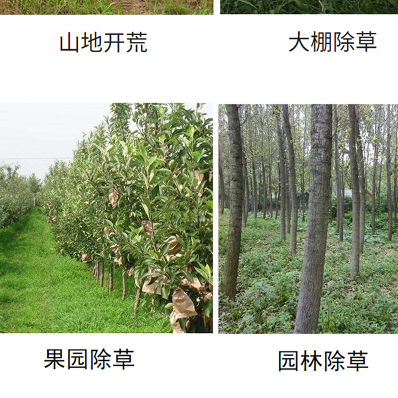 自走手扶除草灭草机果树行茶园割草碎草机农田秸秆还田机