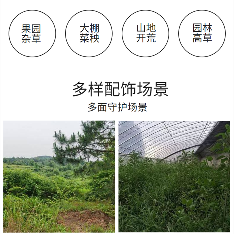 自走手扶除草灭草机果树行茶园割草碎草机农田秸秆还田机
