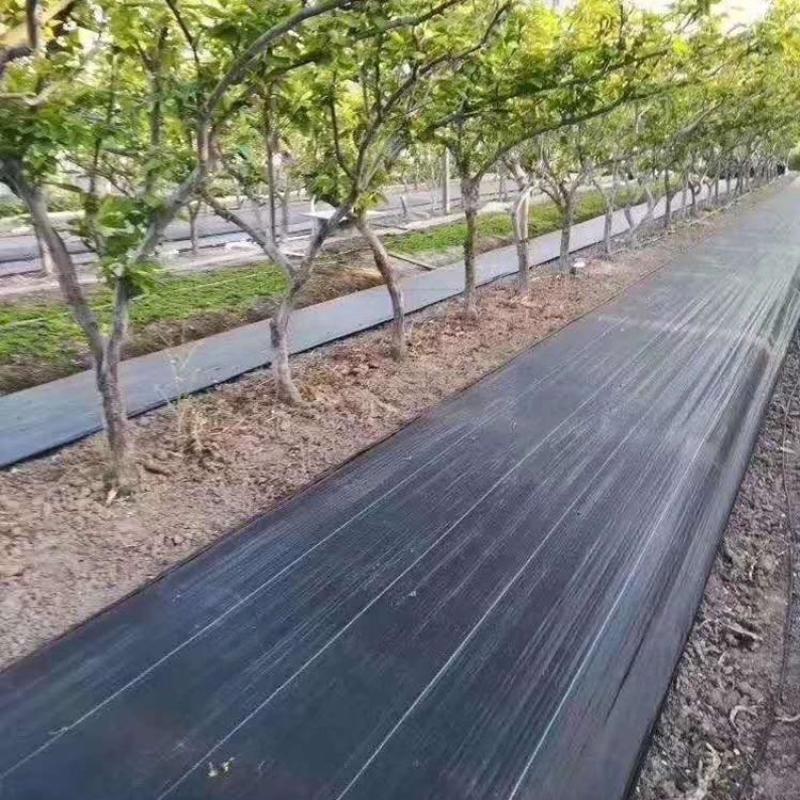 防草布透气，透水，pp，材质pe材质支持订做遮草布