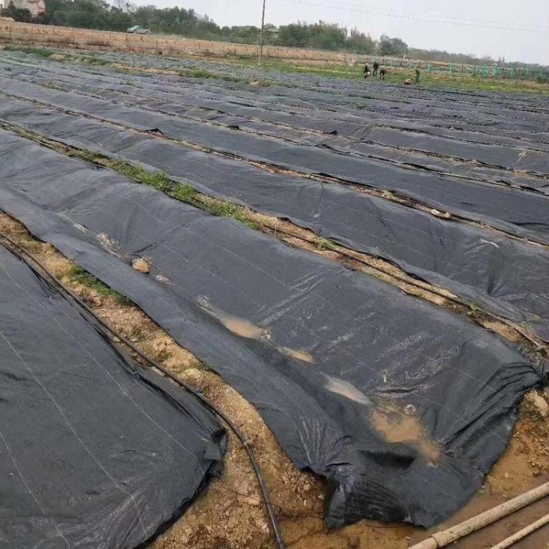 1米宽100米防草布，渗水保湿、透气，厂家