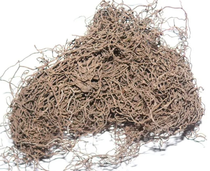 红毛七，常年批发供应冷背中药材红毛七量大从优
