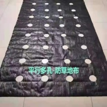 防草布pp，pe卷材打孔，按客户要求订做打孔，厂家