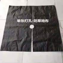 裁片防草布除草布果园果树遮草盖草布农用园艺地布