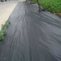 PE防草布防草布批发生产厂家厂家直销
