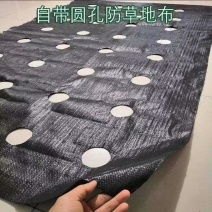 聚乙烯PE防草布除草布打孔热切地布切片防草布打孔切片