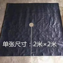 切片打孔防草布除草布盖草抑草遮草布透气透水果树园艺地布