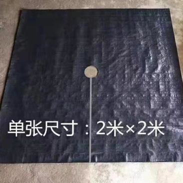 切片打孔防草布除草布盖草抑草遮草布透气透水果树园艺地布