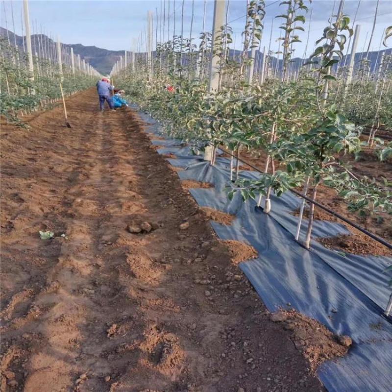 1.2防草布药材除草布价格园艺除草布厂家