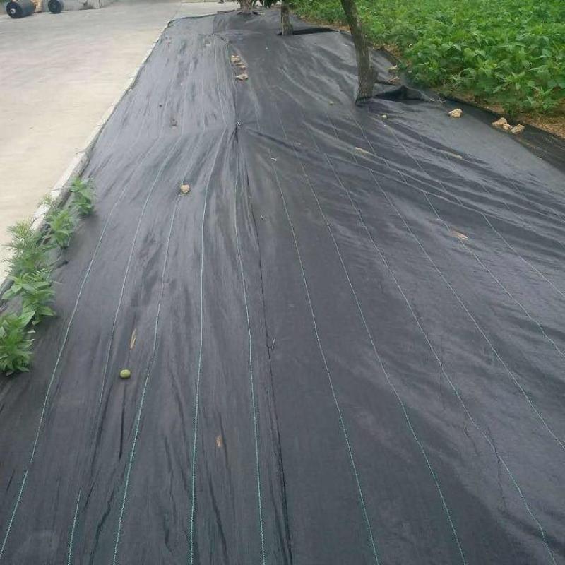 防草布-防草布价格-防草布厂家-除草布-园艺地布