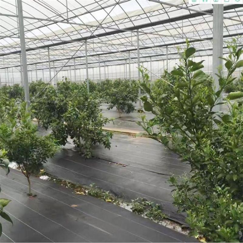 1米宽防草布_果园防草布价格_PE防草布厂家