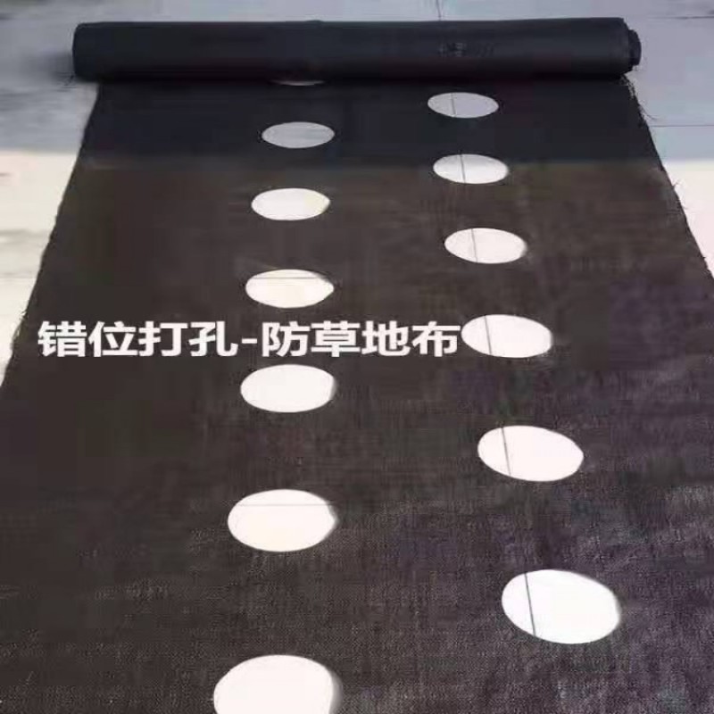 pe防草布单张0.8米宽打孔切片果园果树用防草布