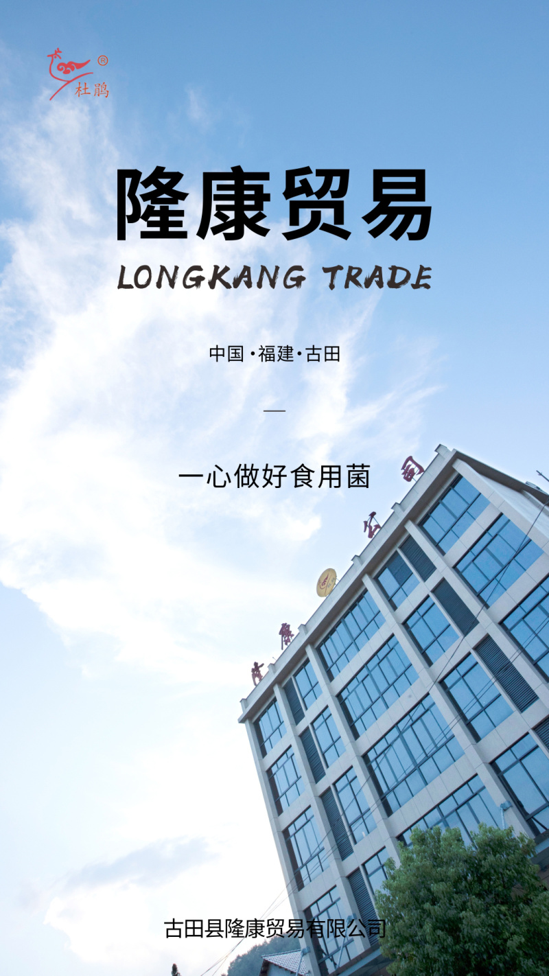 莆田6A桂圆杜鹃厂家批发龙眼干货500g肉厚核小新货