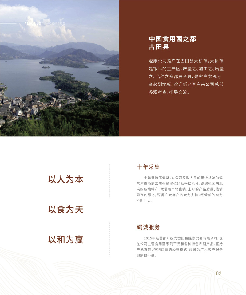 莆田6A桂圆杜鹃厂家批发龙眼干货500g肉厚核小新货