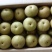 安徽砀山梨圆黄梨翠玉大量上市产地直发欢迎来电咨询