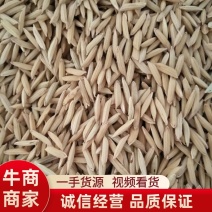 汉中优质香稻谷米质优口感好一手货源视频看货品质保证