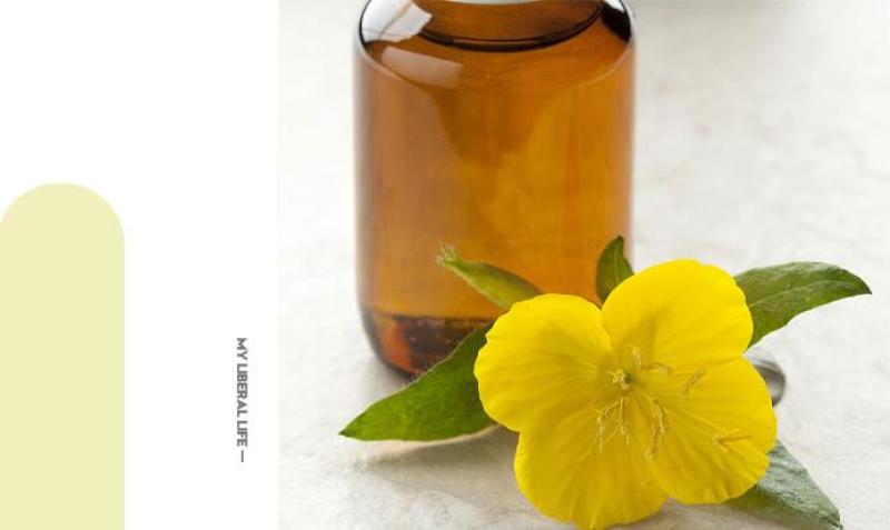 美丽月见草花种籽子多年生花海一年四季开花易活室外庭院见土