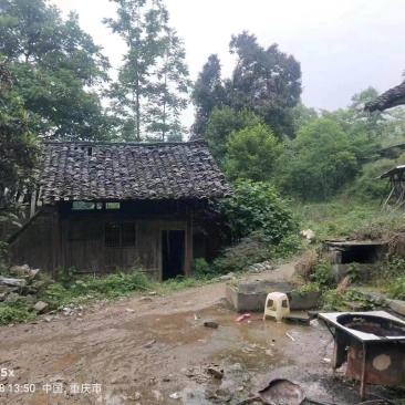 重庆市秀山县兰桥镇民房70平出zu