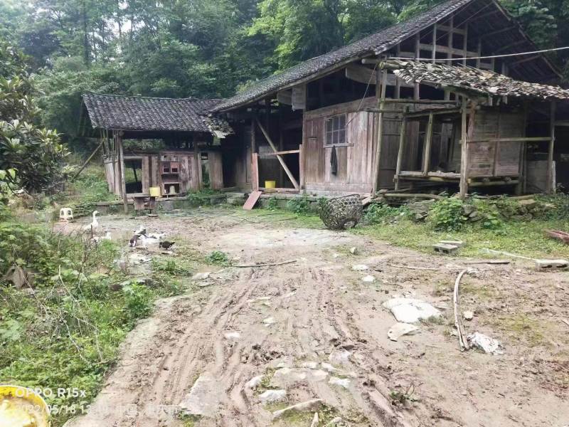 重庆市秀山县兰桥镇民房70平出zu