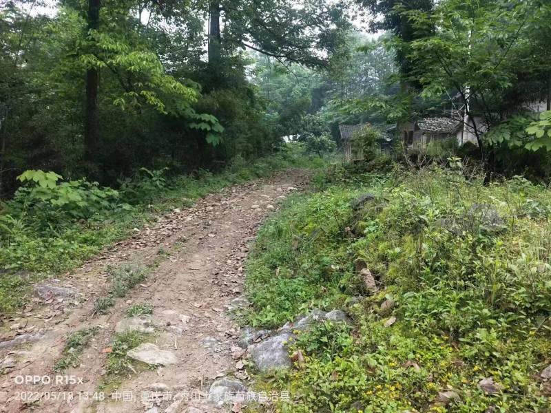 重庆市秀山县兰桥镇民房70平出zu