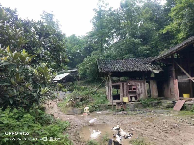 重庆市秀山县兰桥镇民房70平出zu