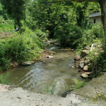 巴南区姜家镇古风民宿改建项目