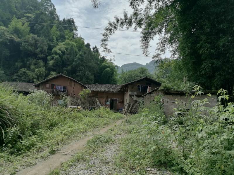 巴南区姜家镇古风民宿改建项目
