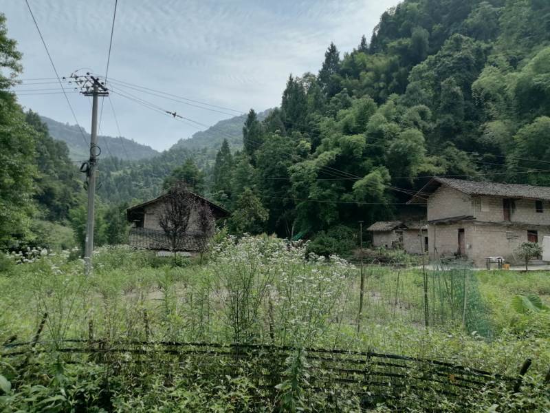 巴南区姜家镇古风民宿改建项目
