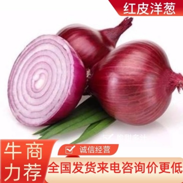 洋葱甘肃红皮洋葱大量上市产地直发一手货源电联咨询优惠