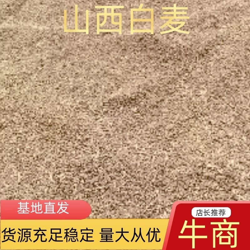小麦，白麦山西冬小麦质量保证一手货源，欢迎来电洽谈合作