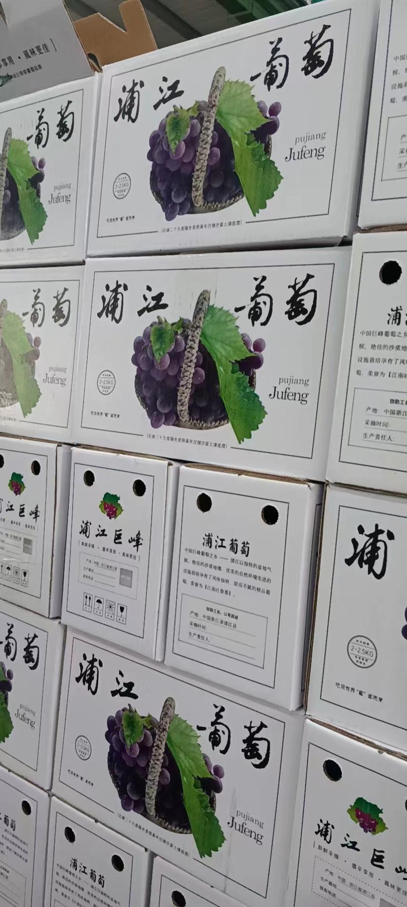 巨峰葡萄礼盒装，浦江葡萄，对接大型批发采购，社区团购