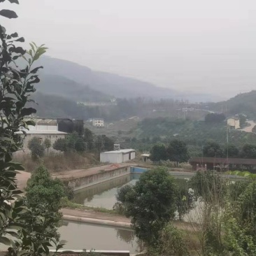重庆渝北玉峰山240亩农庄转r